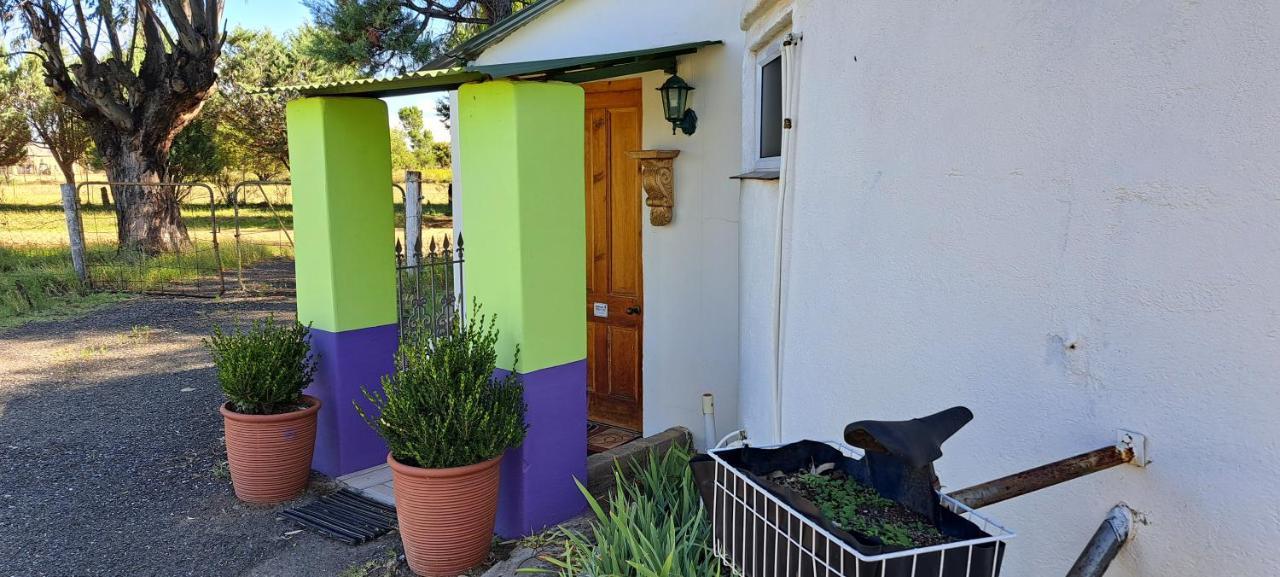 Purple House B&B Smithfield Esterno foto
